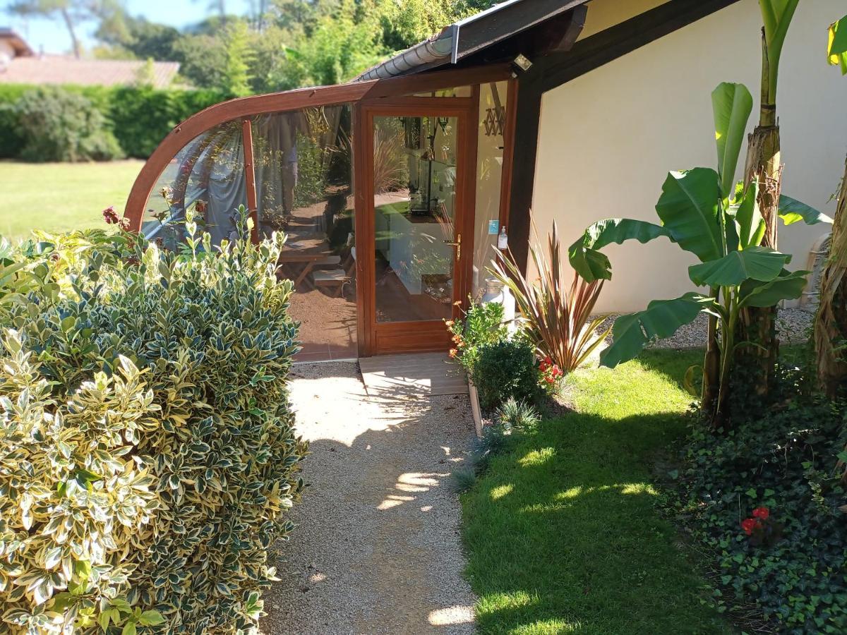 Chambre D'Hotes L'Airial Liposthey エクステリア 写真